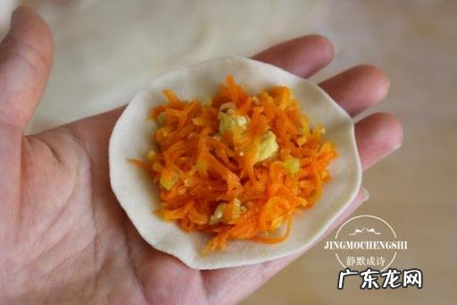 胡萝卜的家常做法,胡萝卜饺子馅做法