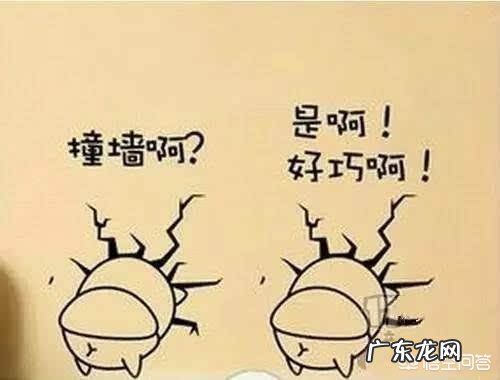 2017年度“抖音”上超火的歌曲,你被哪首洗脑了?