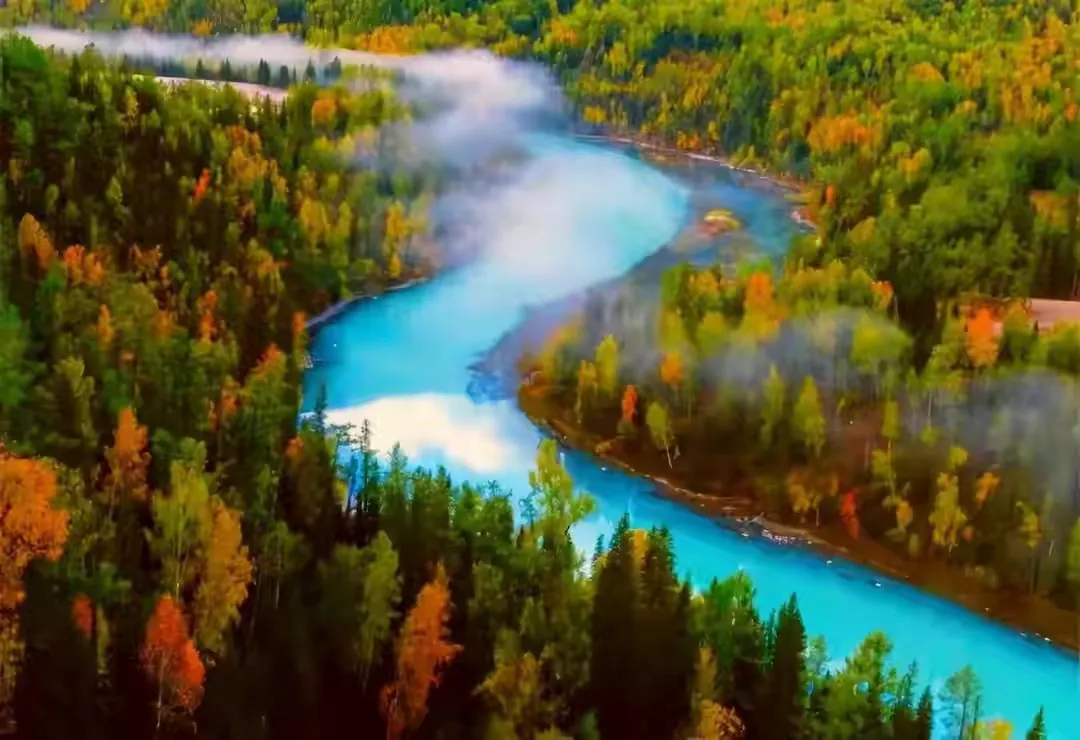 2021年大学生就业形势严峻,毕业即失业,是焦虑还是真实写照?