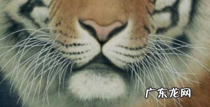 2022年生娃避开几月 2023年生娃避开几月