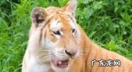 2022年生娃避开几月 2023年生娃避开几月