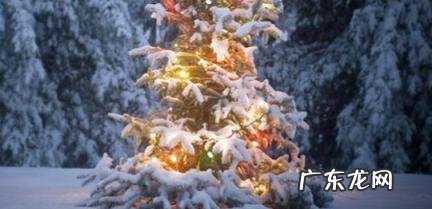 圣诞树上的星星叫什么 圣诞树上的星星叫什么英语