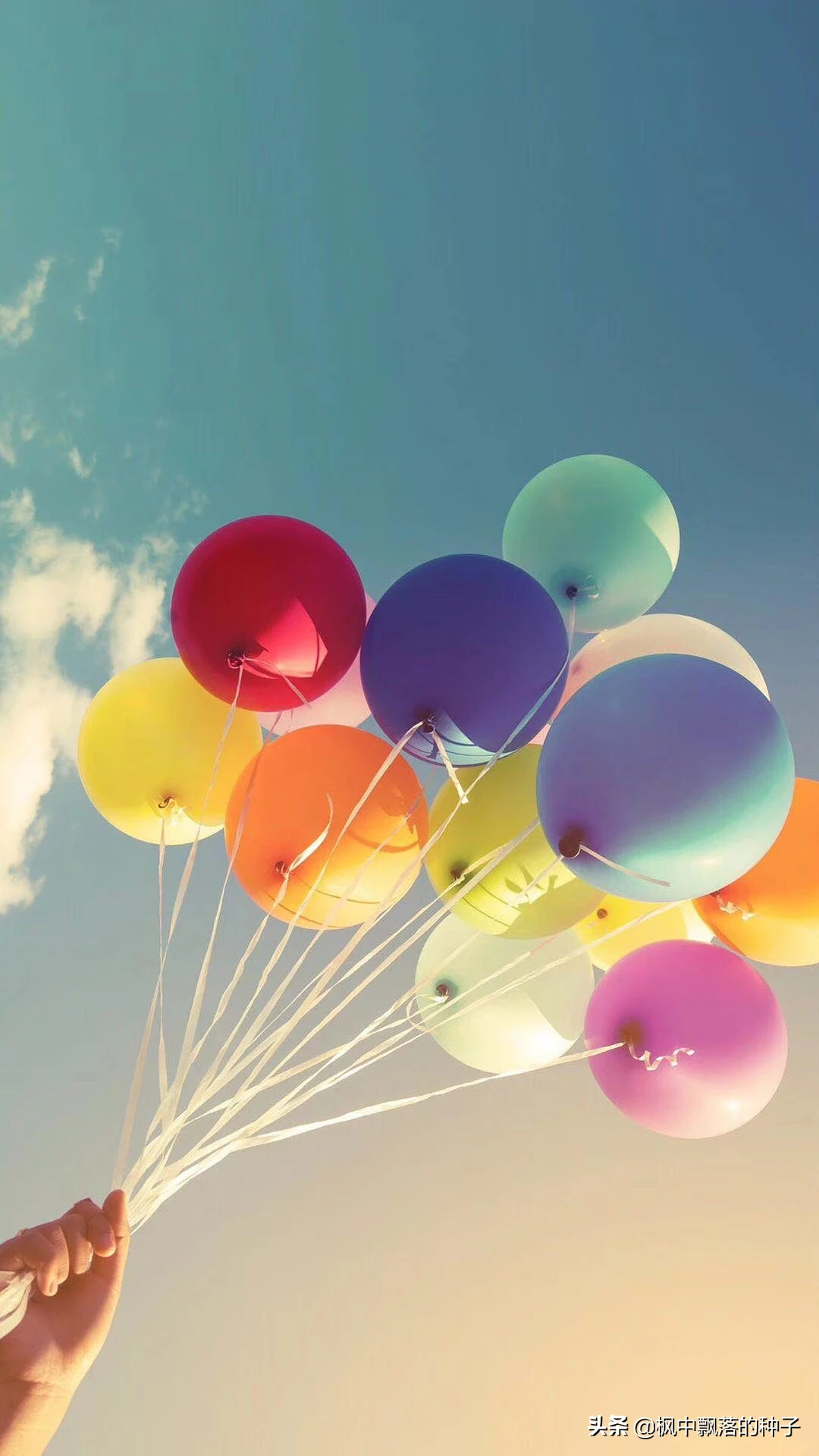 人与天上飞的小鸟比,谁更幸福和快乐?