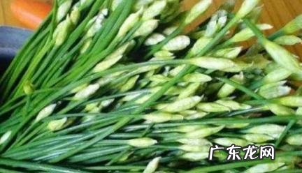 羊肉为什么配韭菜花 羊肉为什么配韭菜花好吃