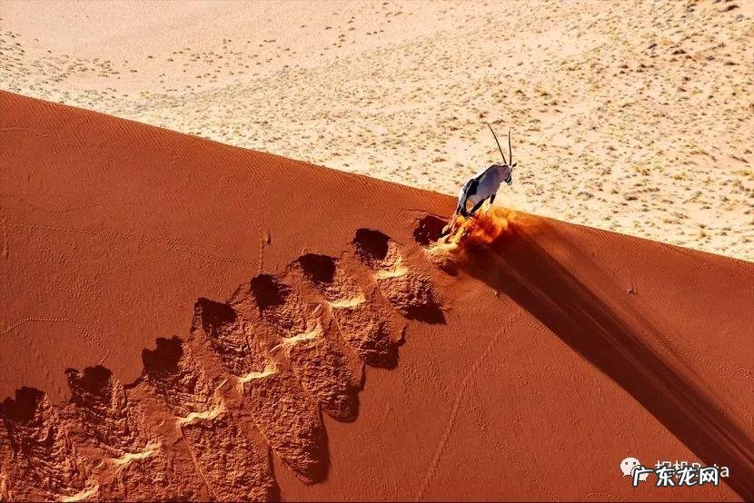 bigbigworld本地下载 bigbigworld图片