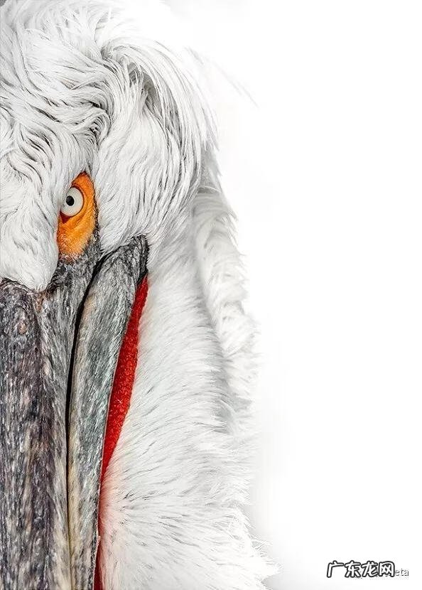 bigbigworld本地下载 bigbigworld图片