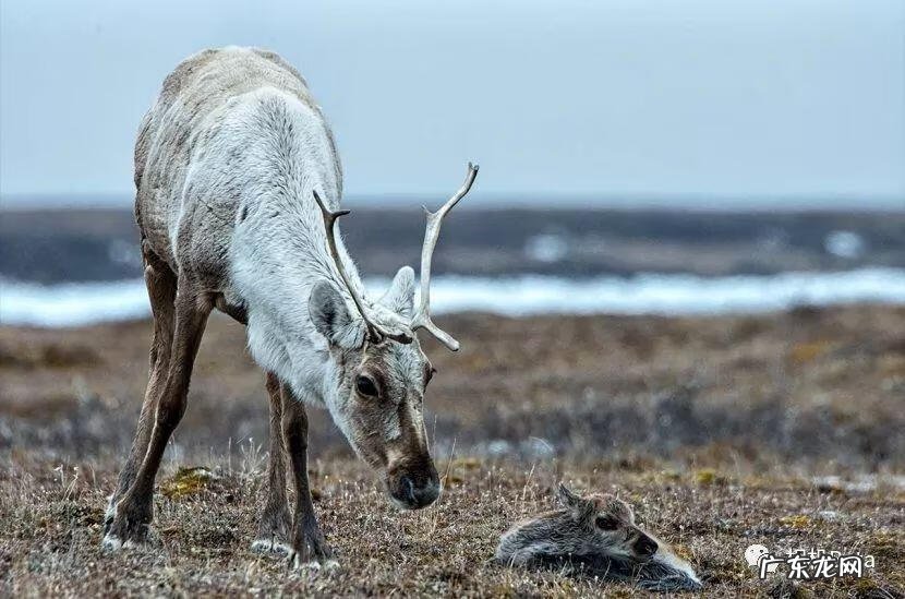 bigbigworld本地下载 bigbigworld图片