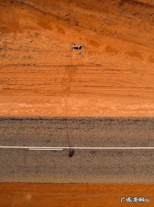 bigbigworld本地下载 bigbigworld图片