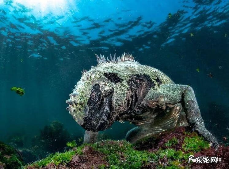 bigbigworld本地下载 bigbigworld图片