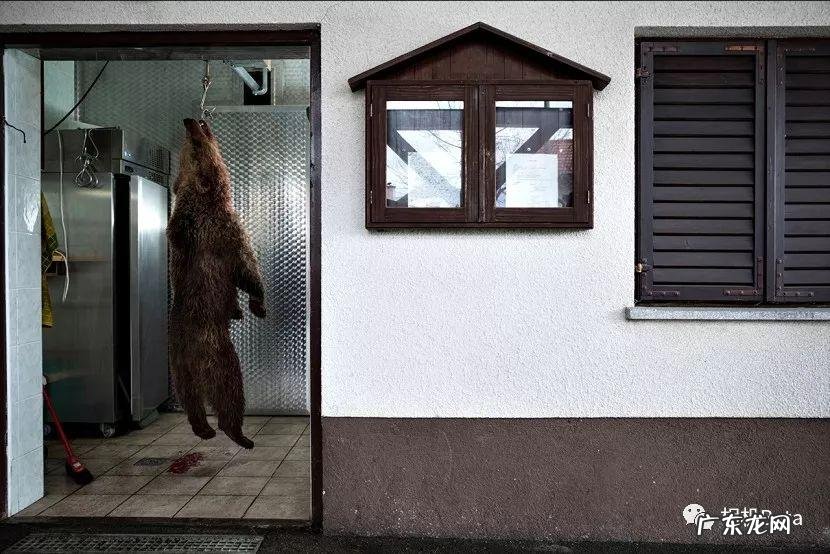 bigbigworld本地下载 bigbigworld图片