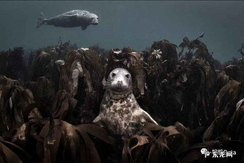 bigbigworld本地下载 bigbigworld图片