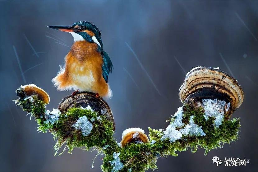 bigbigworld本地下载 bigbigworld图片