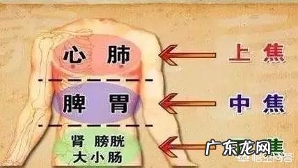 保和丸、加味保和丸与越鞠保和丸有何不同？哪种好？该如何选？