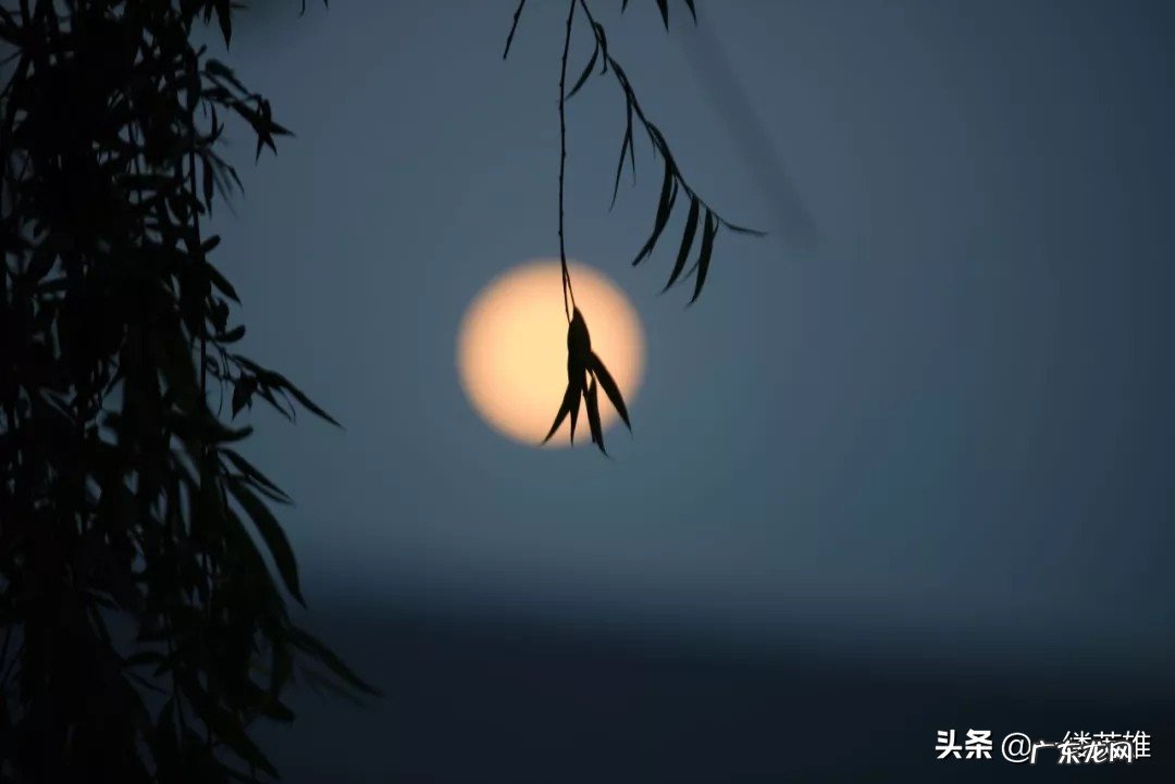 《生查子·元夕》写了什么生活情形?