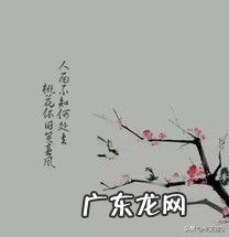 《生查子·元夕》写了什么生活情形？