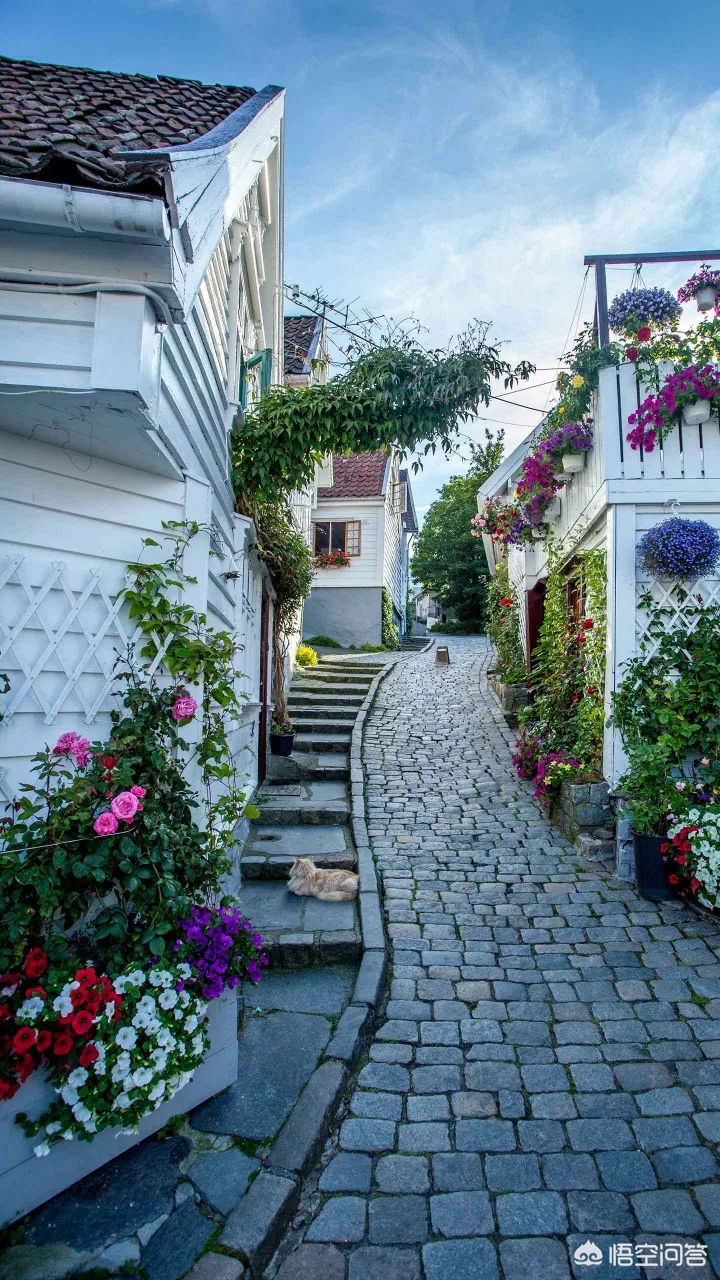 她 一个很爱你的人突然不爱了并选择分手,你认为分手后他还会想起你吗?