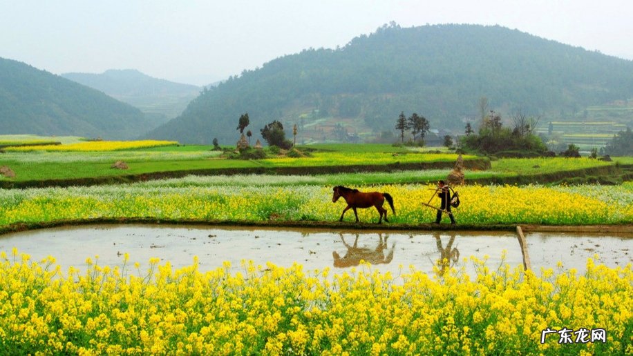 “惊蛰”寓意着什么?惊蛰对农事意味着什么?