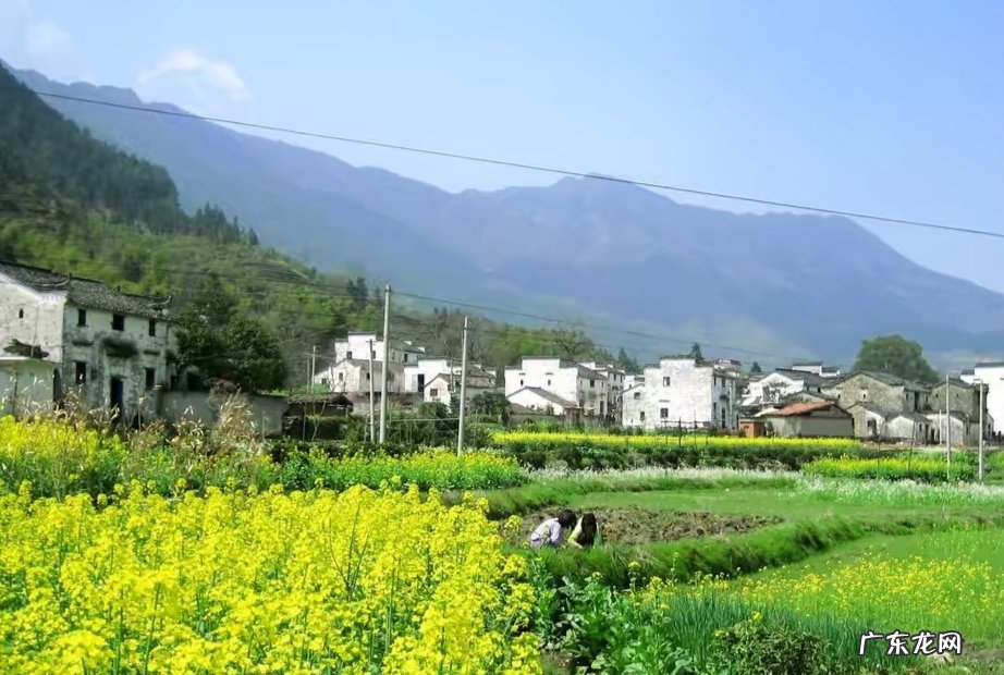 “惊蛰”寓意着什么?惊蛰对农事意味着什么?