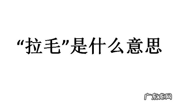 拉毛是什么意思虚拟主播 网络用语