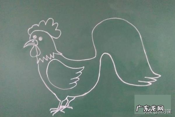 大公鸡画法教程。如何画漂亮的大公鸡?方法步骤?