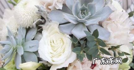 属羊男喜欢你的暗示 属羊男喜欢你的暗示句子