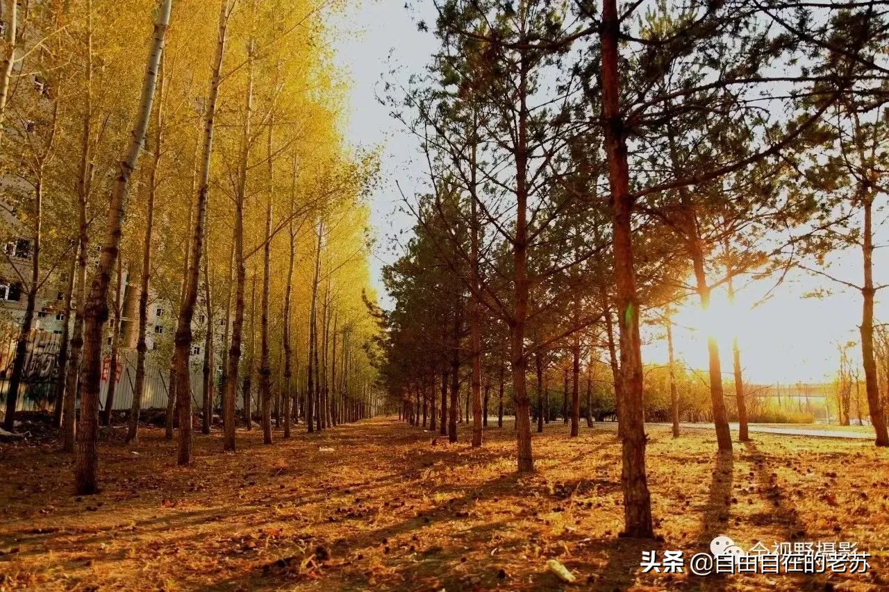 人与人相处,靠的是什么?