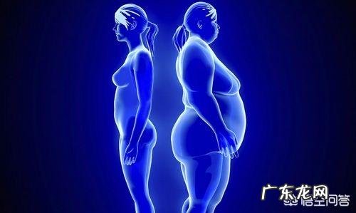 为什么有人说冬季减肥比夏季好?