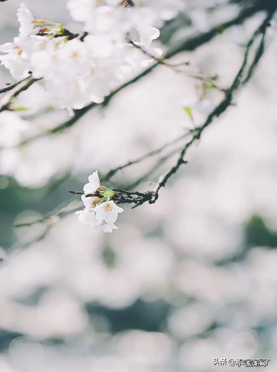 分手后还有遗憾怎么办?