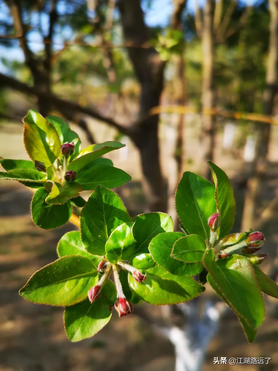 分手后还有遗憾怎么办?