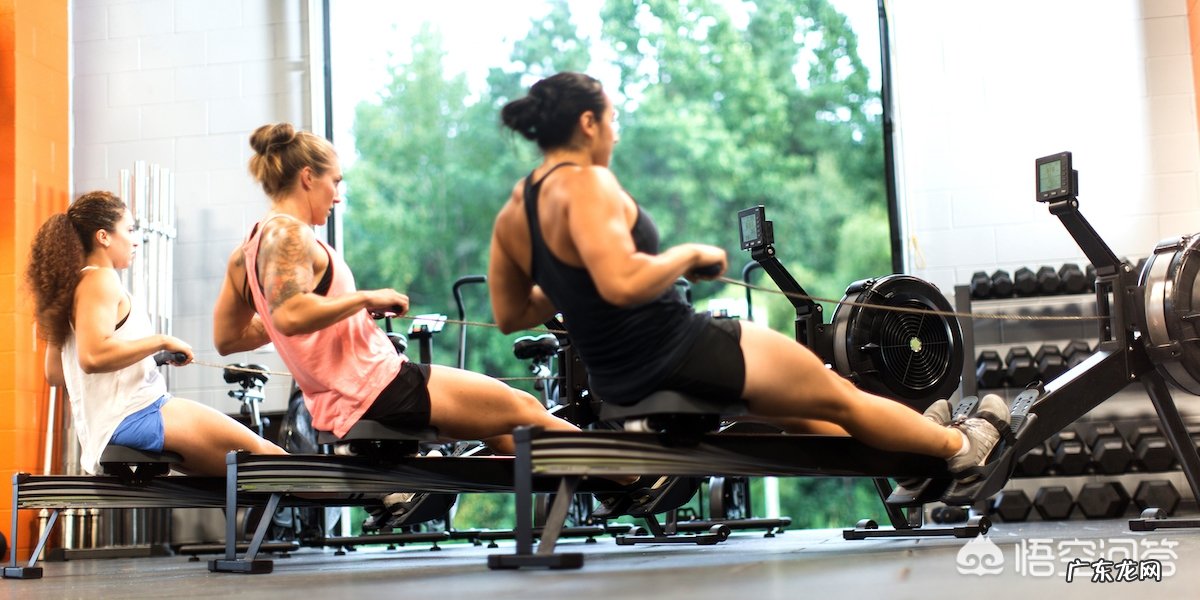 划船机的动作要领有哪些?