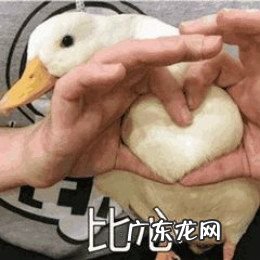 世界上最名贵的画都有哪些?作者是谁?价格是多少?