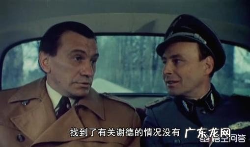 《瓦尔特保卫萨拉热窝》里的“劳费尔行动计划”是个什么计划?