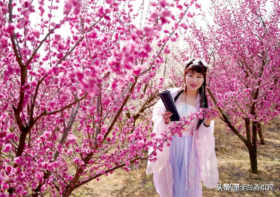 你觉得教师的优秀品质是什么?