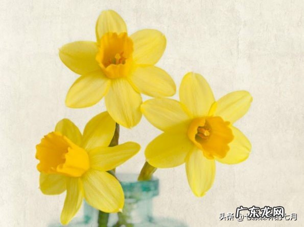 25岁的女孩已经属于大龄剩女了吗？25岁没有对象丢人吗？