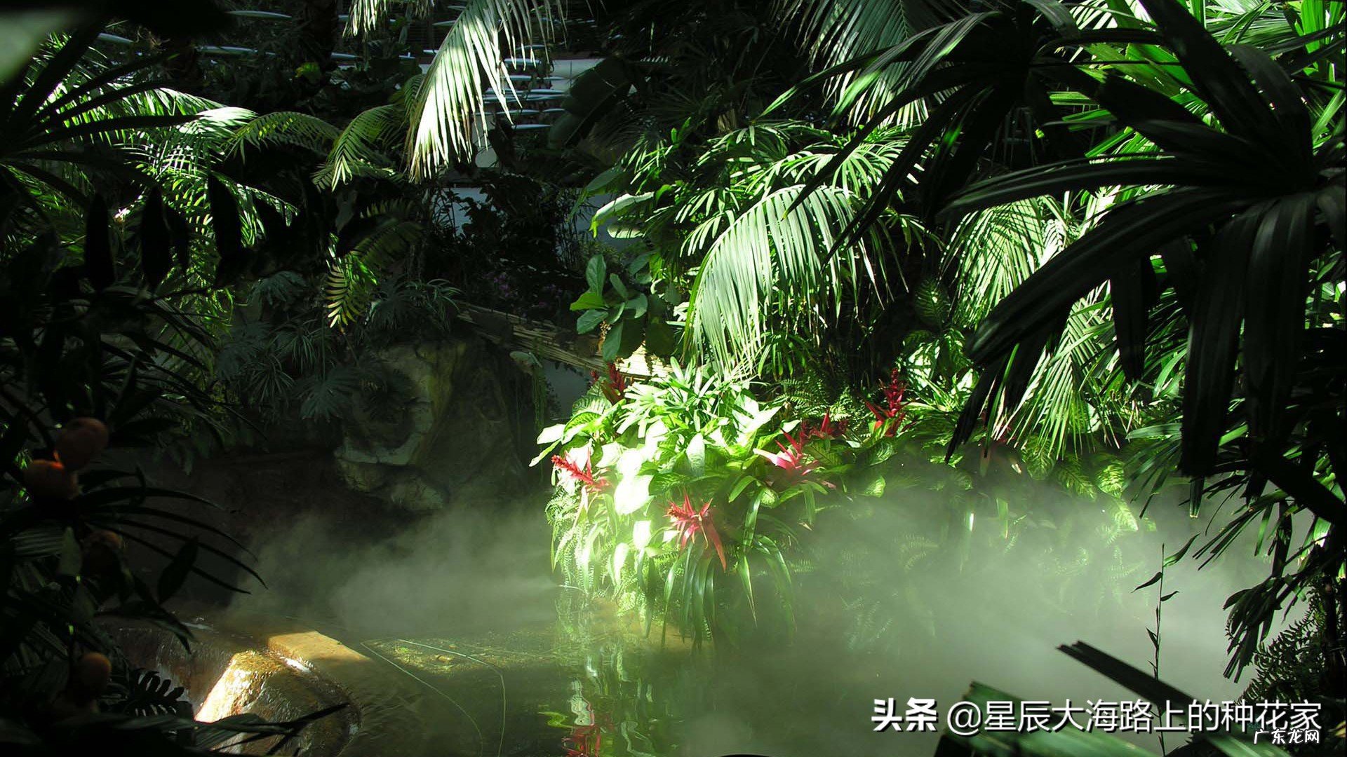 人类能不能用匕首在蟒蛇肚子里自救?