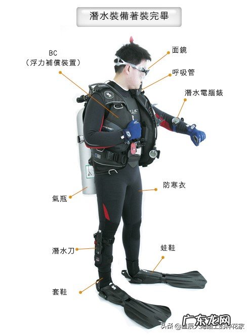 人类能不能用匕首在蟒蛇肚子里自救?