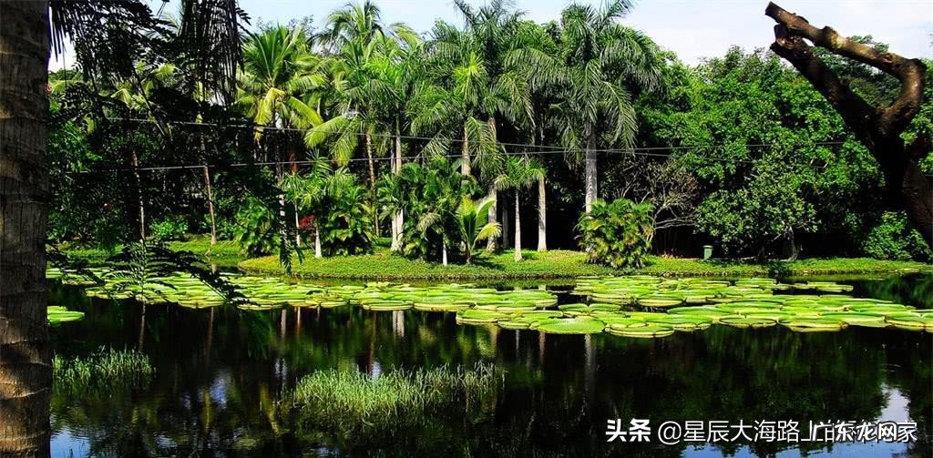 人类能不能用匕首在蟒蛇肚子里自救?