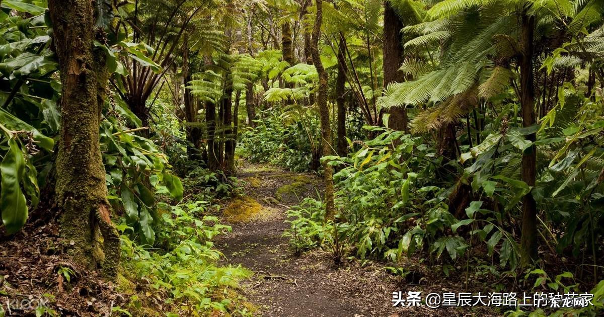 人类能不能用匕首在蟒蛇肚子里自救?