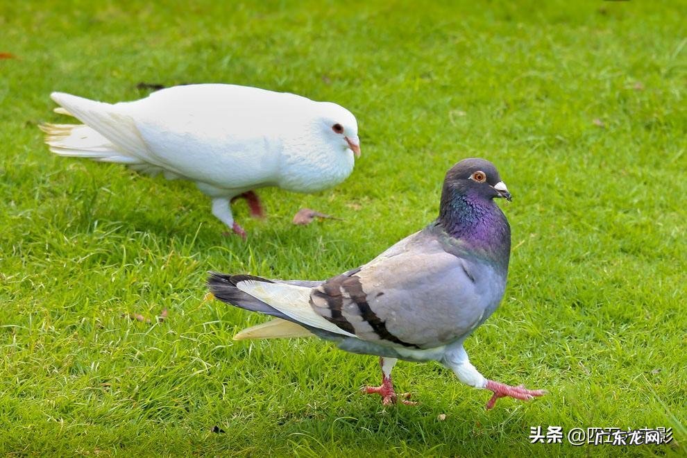 你们都有哪些读书时候的趣事呢?欢迎分享?