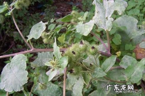 你们都有哪些读书时候的趣事呢?欢迎分享?