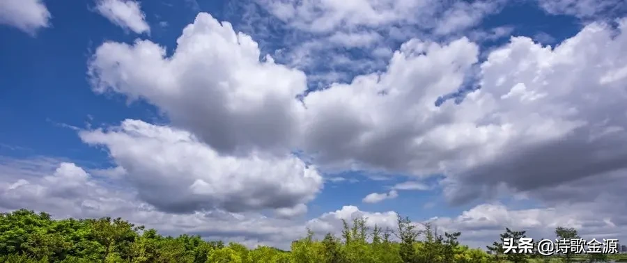 首 中国诗词中最有哲理性的是哪一句？