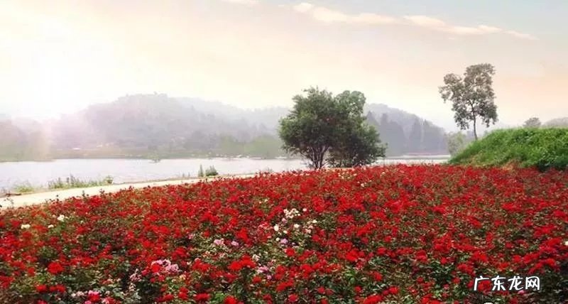 产业链、价值链、供应链有何区别?