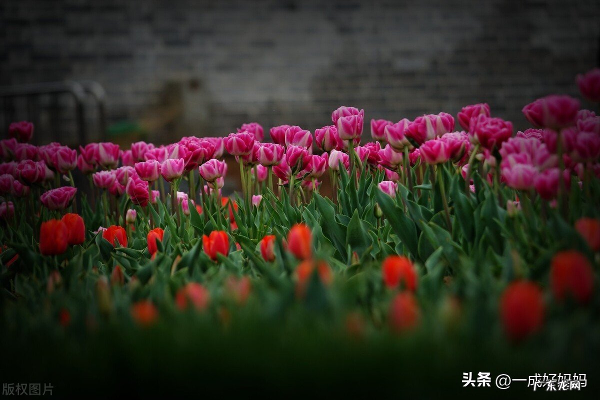 不能不听的祖宗经验有哪些?