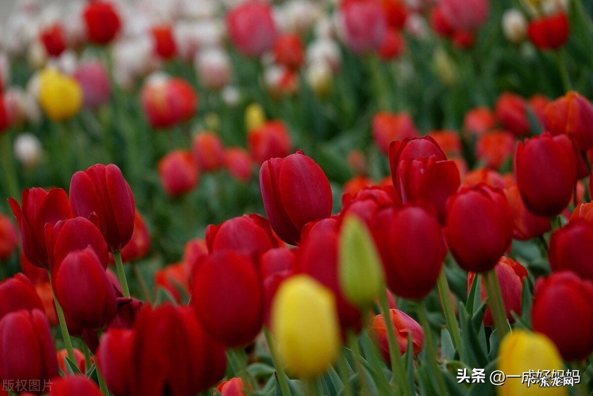 不能不听的祖宗经验有哪些?