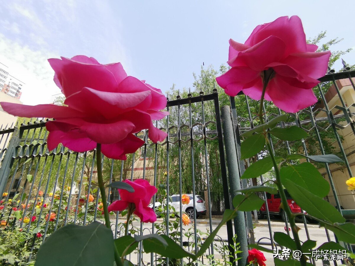 不能不听的祖宗经验有哪些?