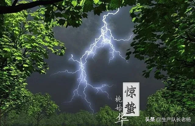 “惊蛰闻雷米似泥,春分有雨病人稀”,农谚预测年景,啥说法?