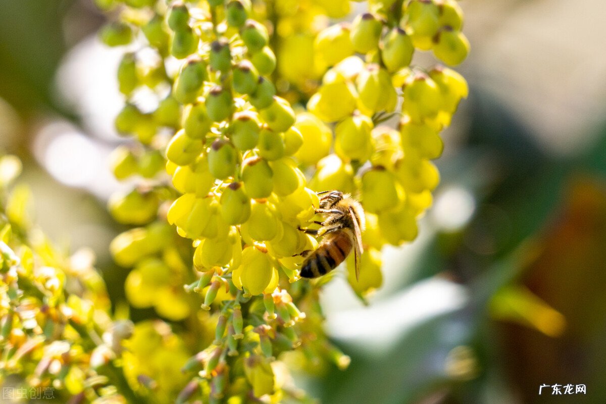 “惊蛰闻雷米似泥,春分有雨病人稀”,农谚预测年景,啥说法?