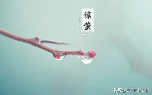 “惊蛰闻雷米似泥,春分有雨病人稀”,农谚预测年景,啥说法?