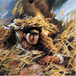 你知道特级英雄是哪三位?