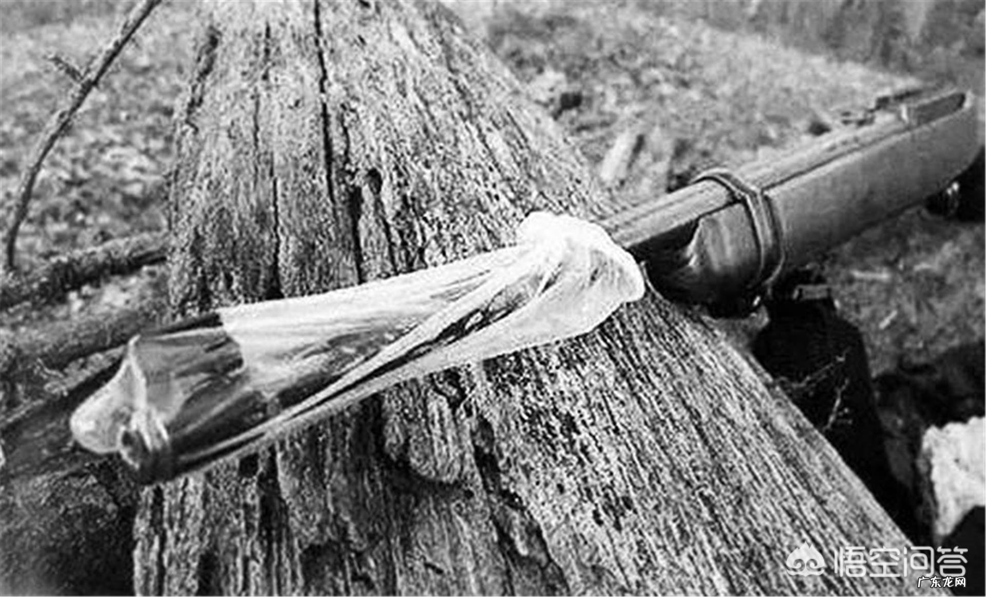 一场战争,美军为何在武器装备上耗费了上万个避孕套?